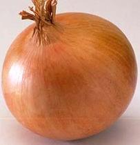 onion2